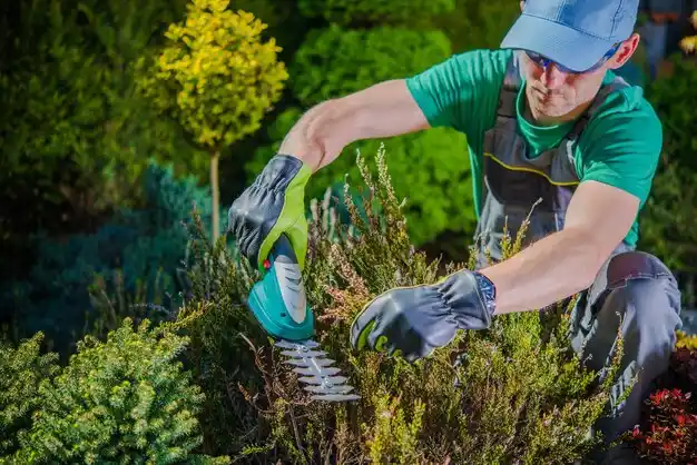 landscaping services Hicksville